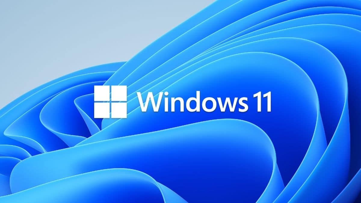windows 11 tarih