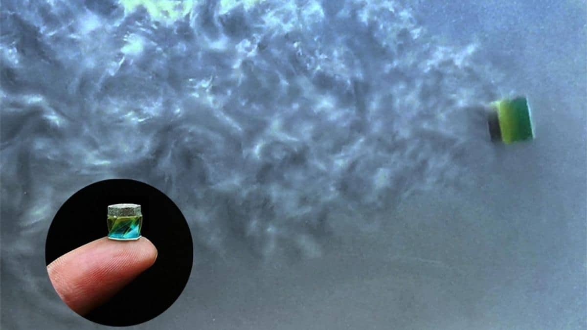 Vücutta Yüzebilen Millirobot Geliştirildi