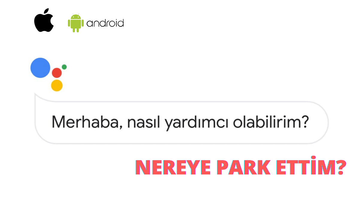 google-park-asistan