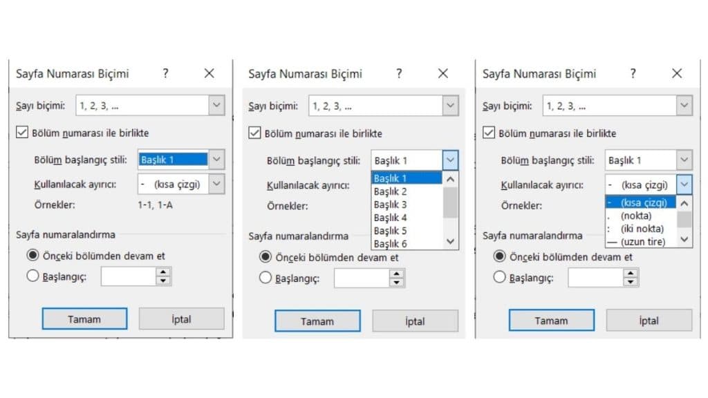 Word-Bolum-Numarasi