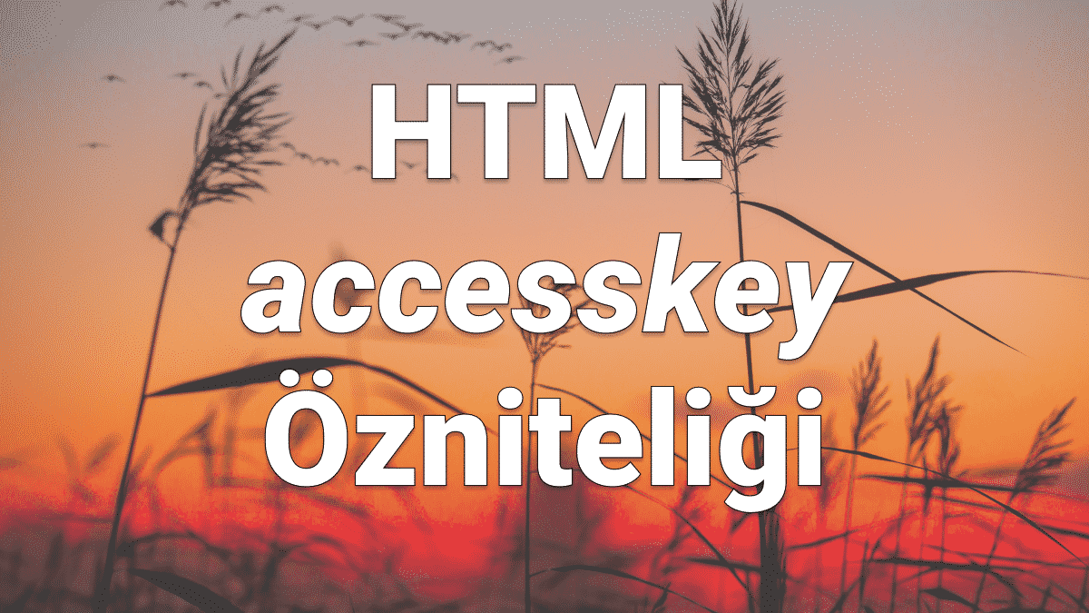 html accesskey özniteliği